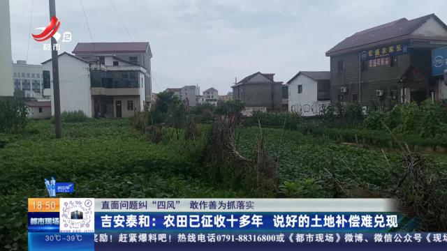 都市现场20240721