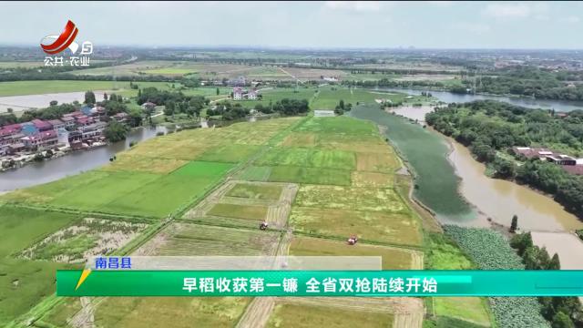 三农头条20240704