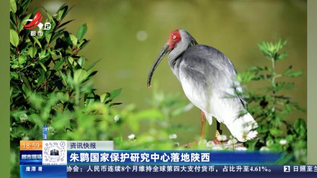 朱鹮国家保护研究中心落地陕西