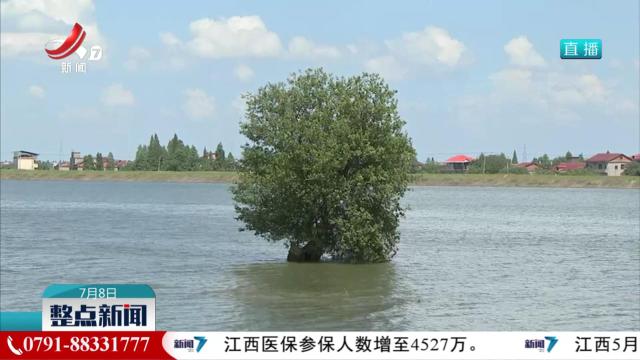 烈日下坚守 巡堤保安澜