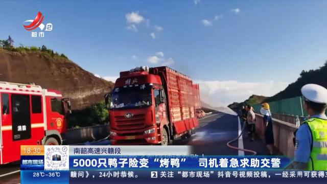 南韶高速兴赣段：5000只鸭子险变“烤鸭” 司机着急求助交警
