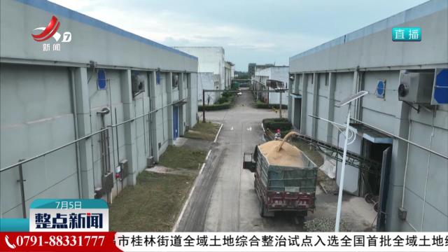 江西：备好备足仓容 早稻收储准备就绪