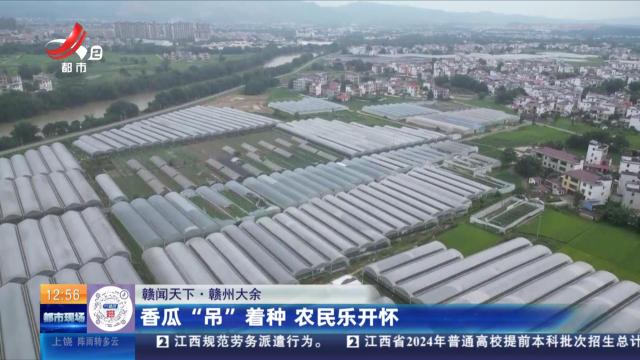 【赣闻天下】赣州大余：香瓜“吊”着种 农民乐开怀