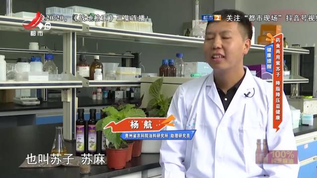 健康提醒——药食两用紫苏子 降脂降压益健康