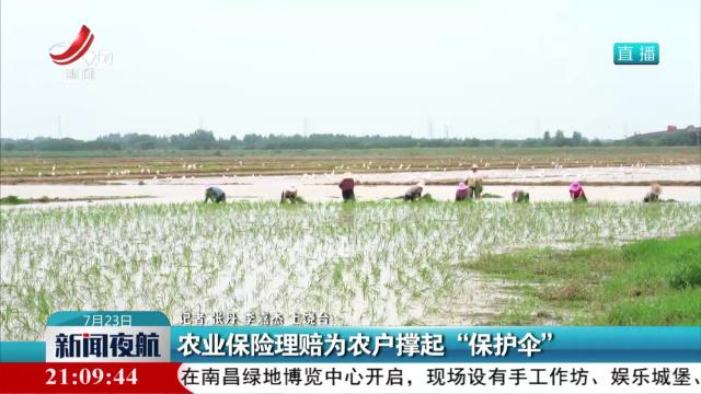 农业保险理赔为农户撑起“保护伞”