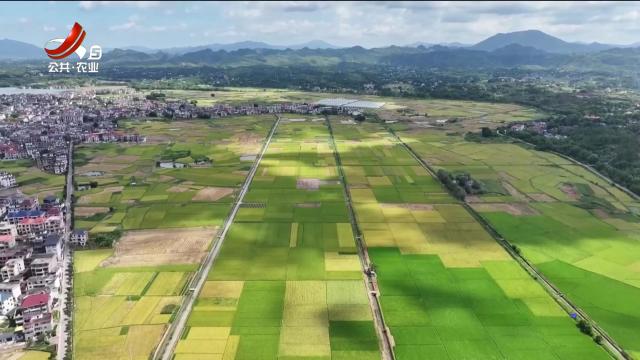 三农头条20240711