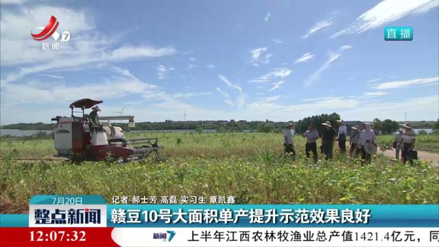 赣豆10号大面积单产提升示范效果良好