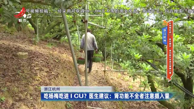 浙江杭州——吃杨梅吃进ICU？医生建议：肾功能不全者注意摄入量