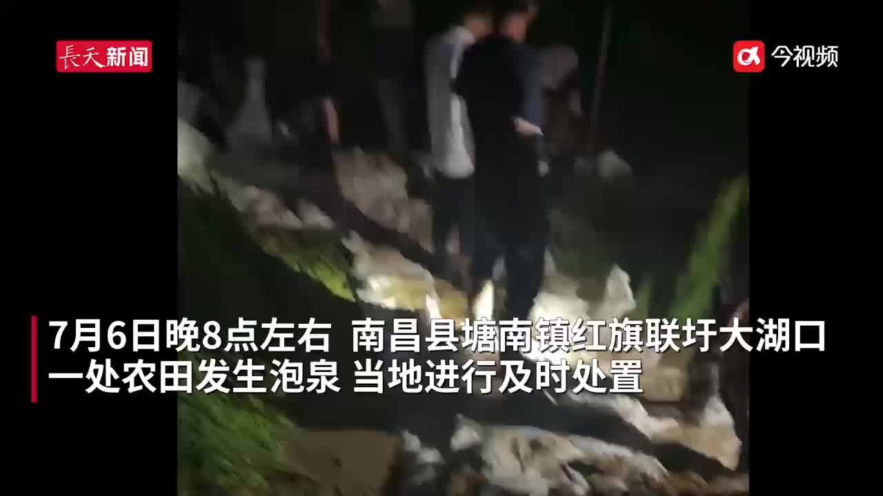 党员群众齐上阵！24小时巡查守护村民安全