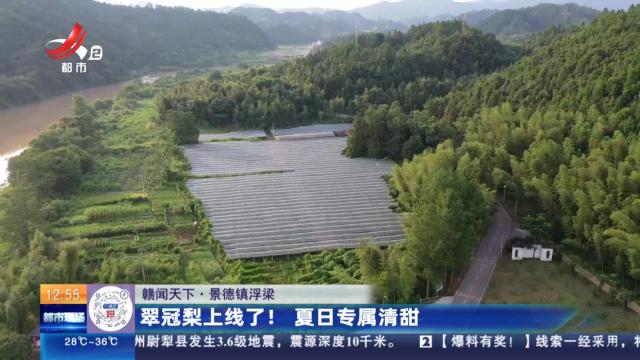 都市现场·午间版20240712