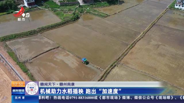 【赣闻天下】赣州南康：机械助力水稻插秧 跑出“加速度”