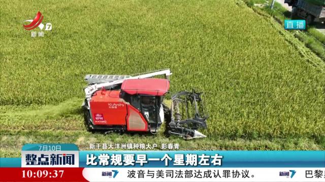江西：推广早播早育技术 为“双抢”赢时间