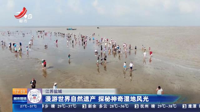 江苏盐城：漫游世界自然遗产 探秘神奇湿地风光