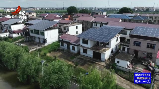 三农头条20240708