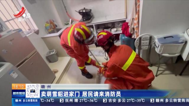 赣州：卖萌雪貂进家门 居民请来消防员
