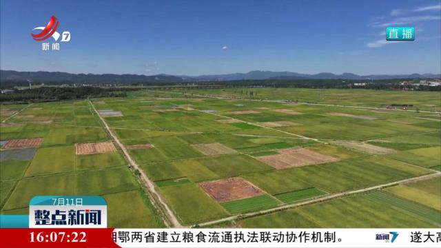 引水灌溉 为万亩农田“解渴”