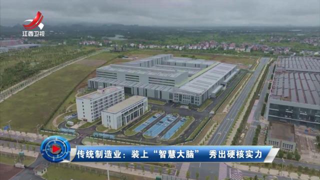社会传真20240705 传统制造业：装上“智慧大脑”  秀出硬核实力