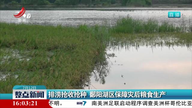 排涝抢收抢种 鄱阳湖区保障灾后粮食生产
