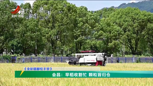 三农头条20240717