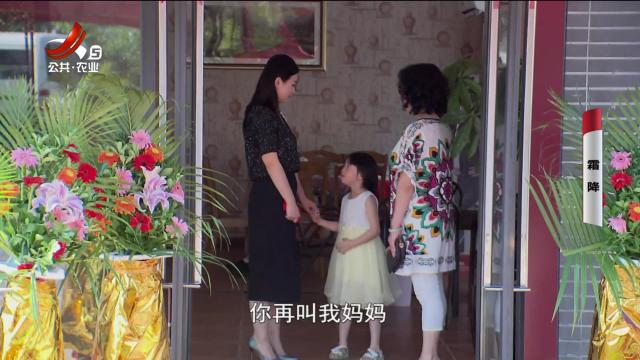 乡村栏目剧场20240726 霜降
