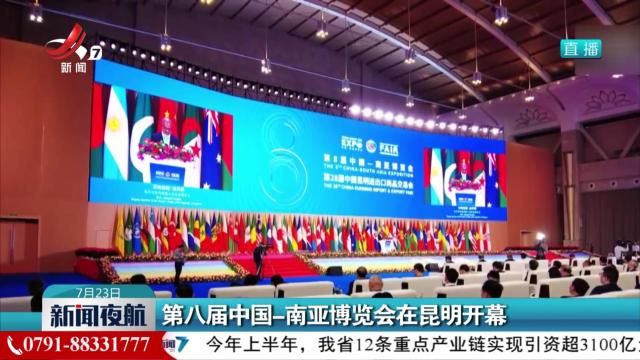 第八届中国-南亚博览会在昆明开幕