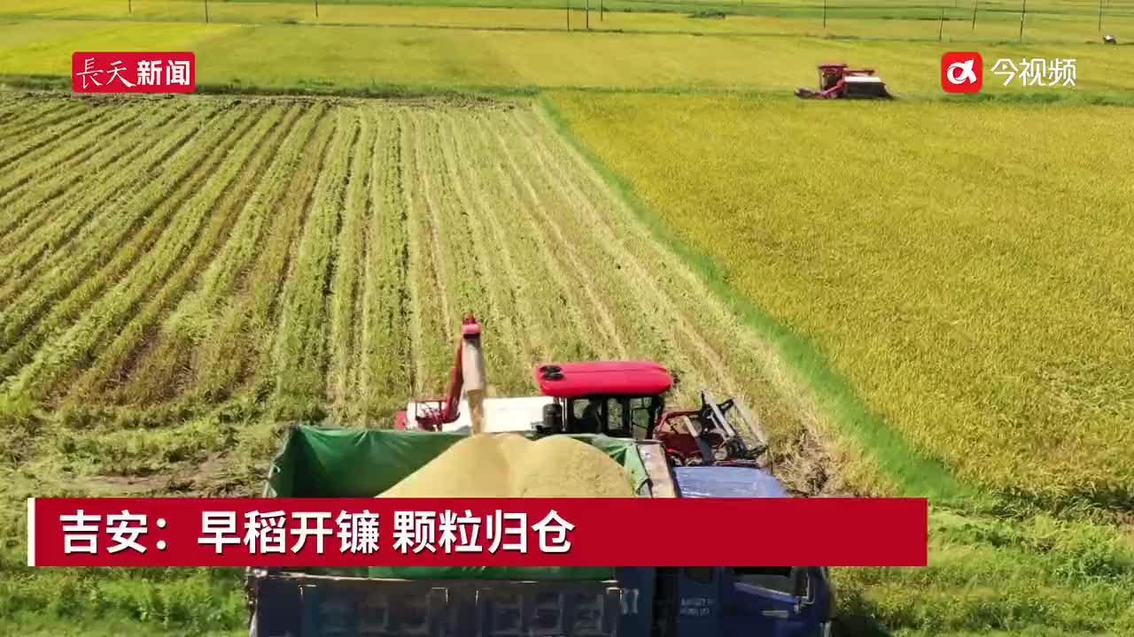 江西吉安：早稻开镰 颗粒归仓