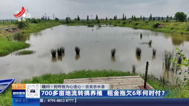 【赣问·民呼我为心连心】吉安吉水县：700多亩地流转搞养殖 租金拖欠6年何时付？