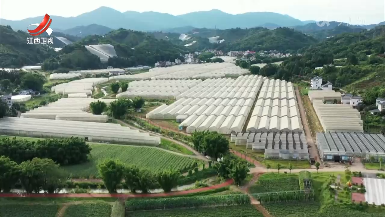 我省出台17条措施支持乡村振兴产业用地