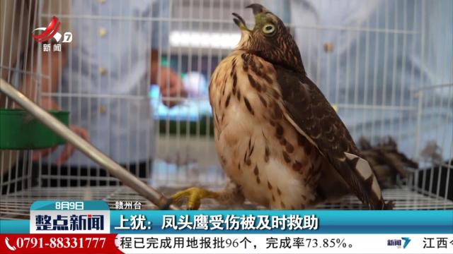 整点新闻20240809 14:00