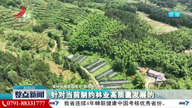 整点新闻20240806 12：00