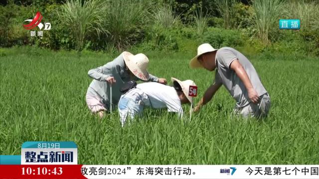 江西：绿色管护 助力增产增收