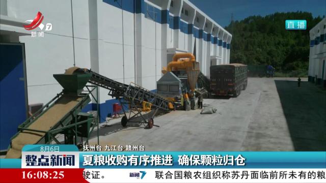 夏粮收购有序推进 确保颗粒归仓