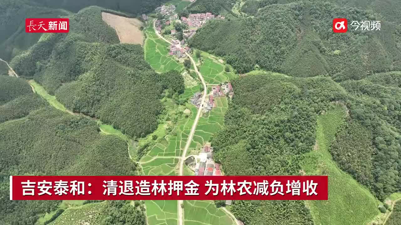 吉安泰和：清退造林押金 为林农减负增收