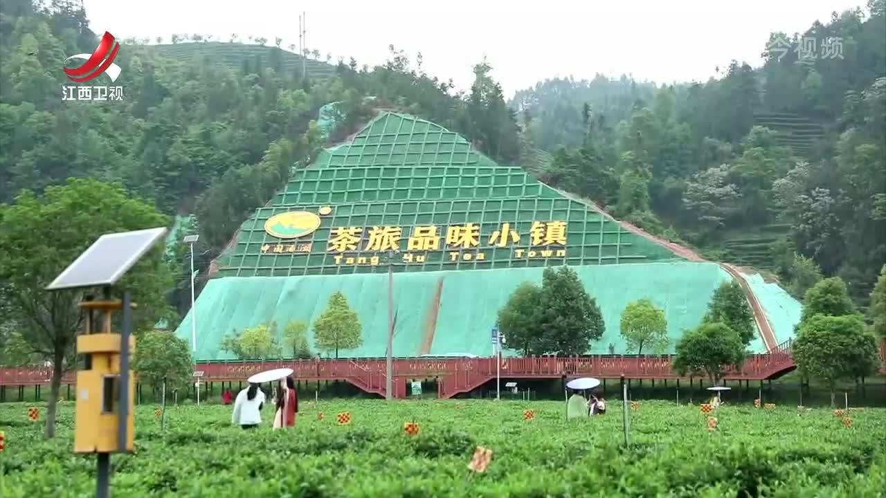 江西新闻联播20240804