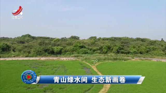 社会传真20240815 青山绿水间 生态新画卷