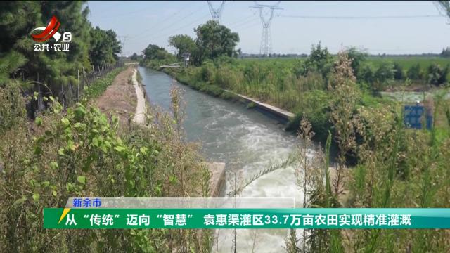 三农头条20240818