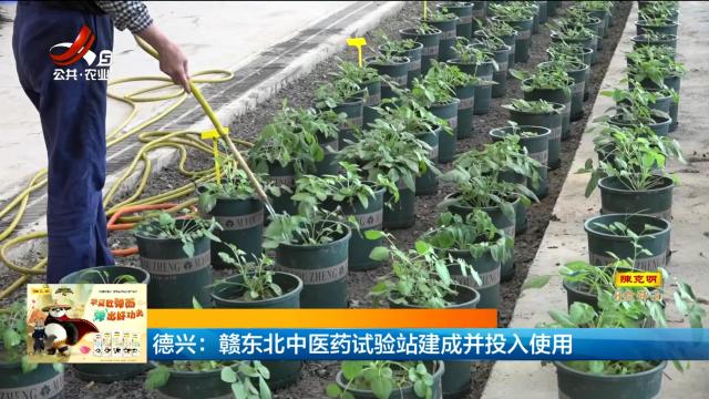 德兴：赣东北中医药试验站建成并投入使用