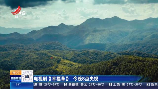 都市现场20240808