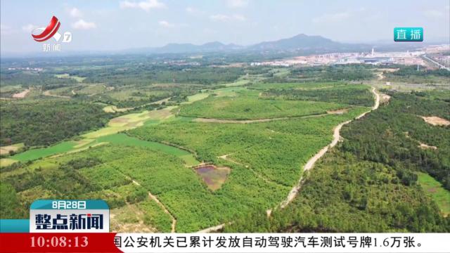 金溪：芳香产业香飘世界