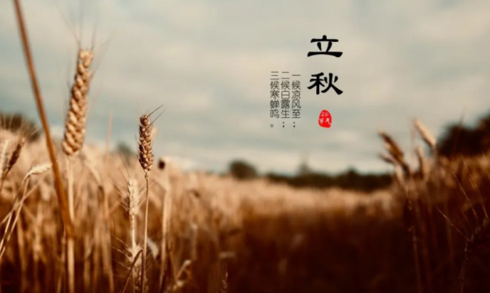 长天新闻丨江右时评：从立秋三候中感悟修养之道