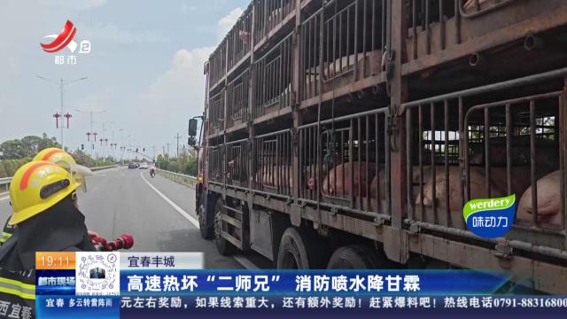 宜春丰城：高速热坏“二师兄” 消防喷水降甘霖