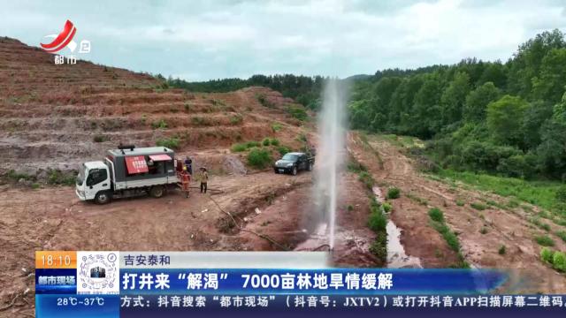吉安泰和：打井来“解渴” 7000亩林地旱情缓解