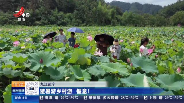 九江武宁：避暑游乡村游 惬意！