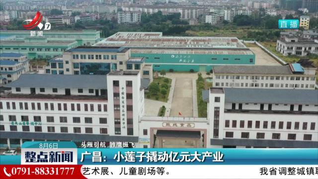 【头雁引航 雏鹰振飞】广昌：小莲子撬动亿元大产业