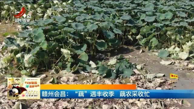 新闻晚高峰20240828