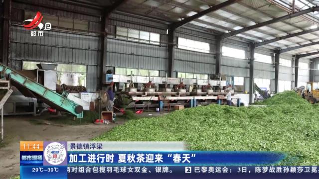 都市现场·午间版20240804
