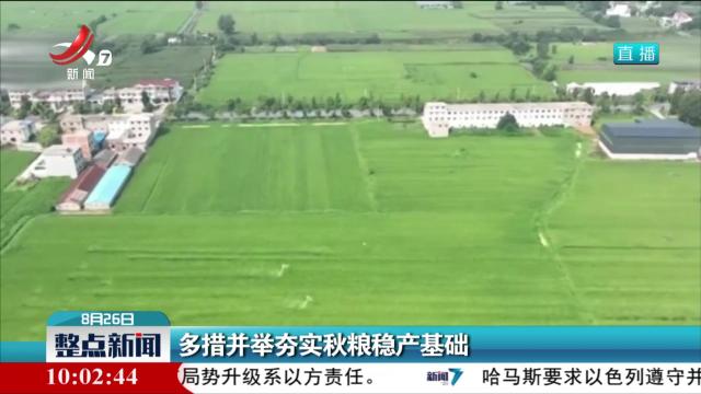 多措并举夯实秋粮稳产基础