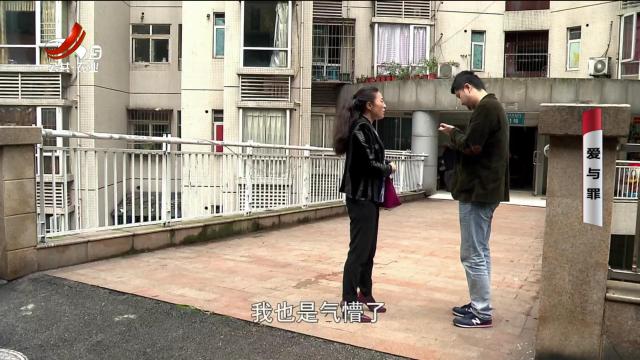 乡村栏目剧场20240823 爱与罪