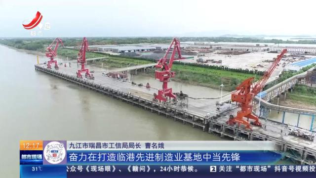 【直面问题纠“四风”敢作善为抓落实】九江瑞昌:聚势成链 打造临港先进制造业基地