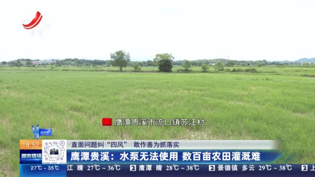【直面问题纠“四风” 敢作善为抓落实】鹰潭贵溪：水泵无法使用 数百亩农田灌溉难